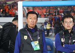 HAHA体育-我在伟大航路当海王